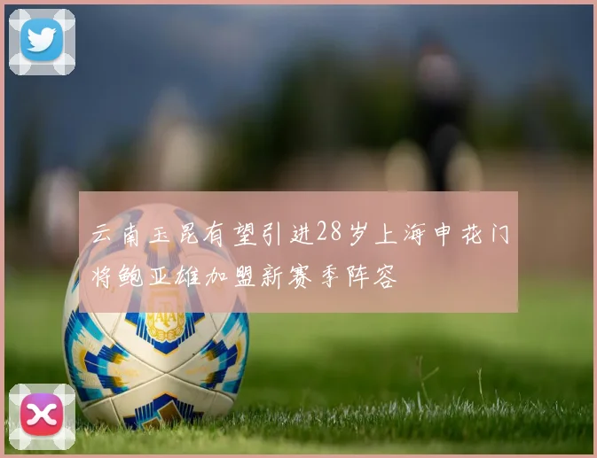 云南玉昆有望引进28岁上海申花门将鲍亚雄加盟新赛季阵容